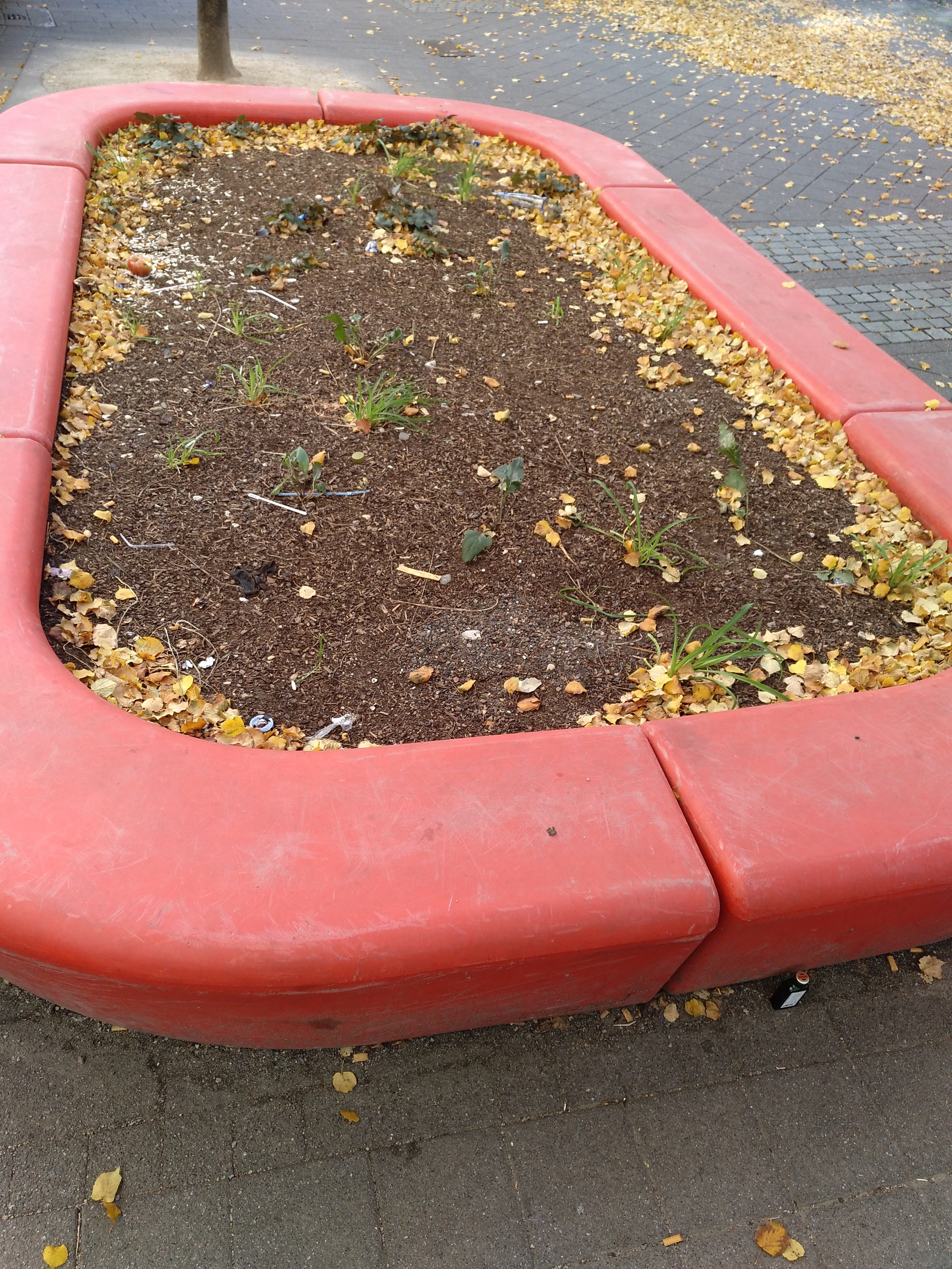 IMG_20181012_112801_876-1