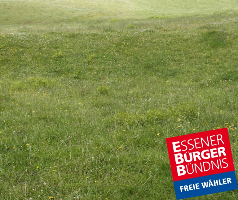 EBB-FW fordert Entsiegelungsoffensive