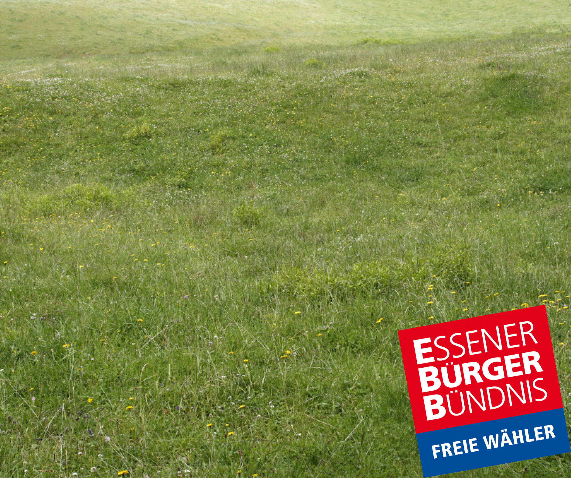 EBB-FW fordert Entsiegelungsoffensive