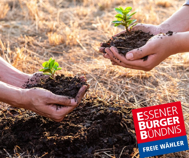 Posting Geburtsbäume