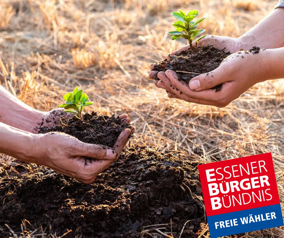 Posting Geburtsbäume