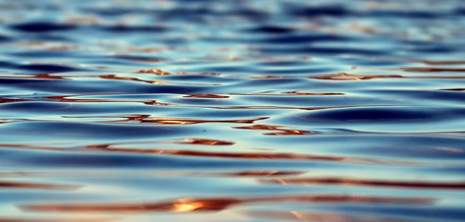 WhatsApp Image 2019-11-27 at 11.23.21